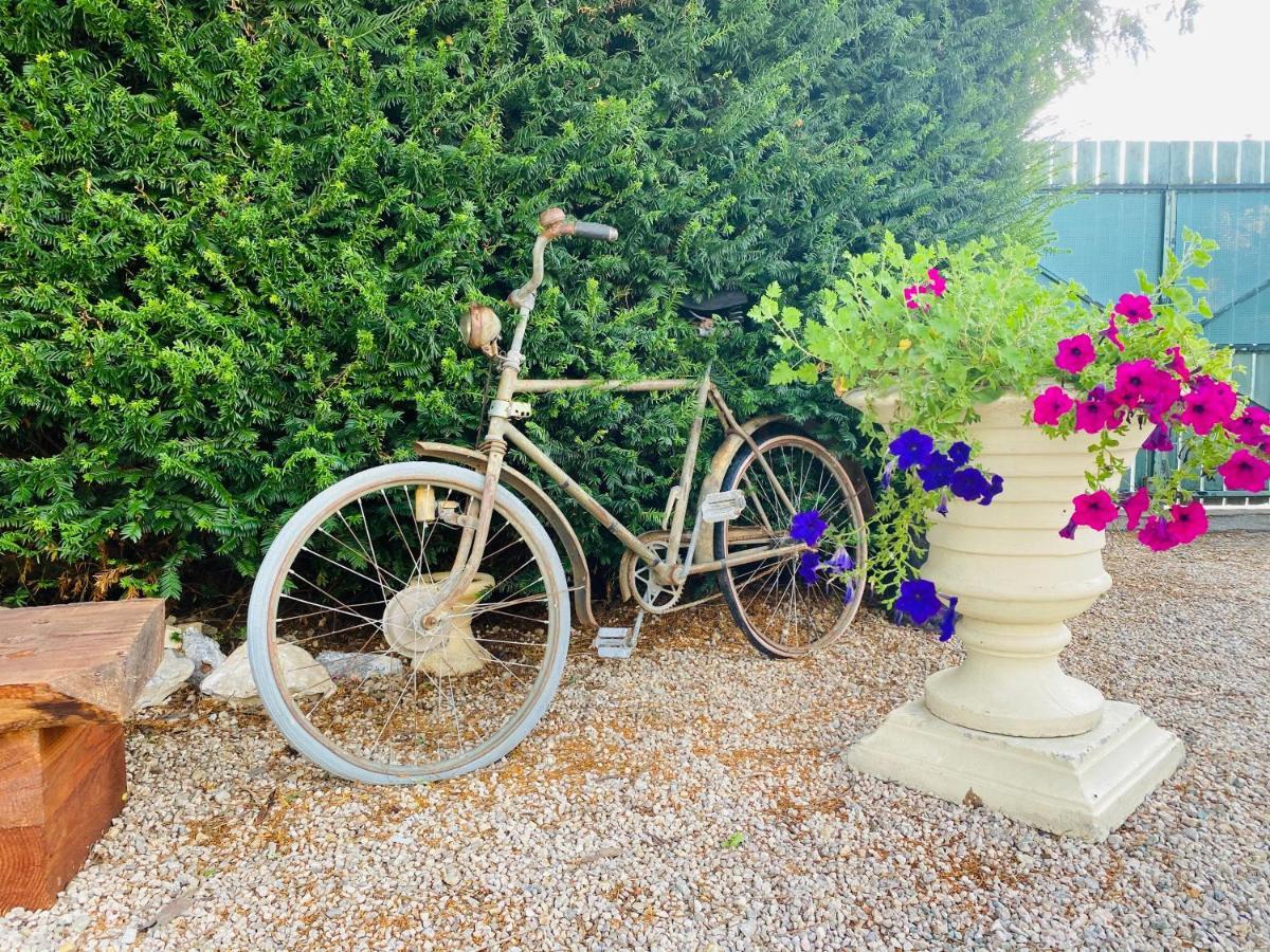 Bed and Breakfast Aux Berges Du Libre Felines-Termenes Exterior foto